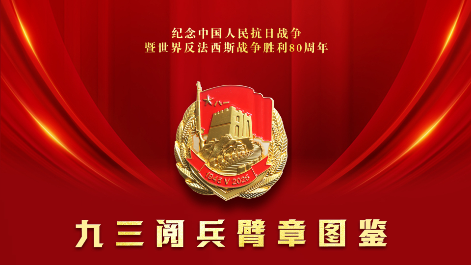 請收藏！九三閱兵臂章圖鑒