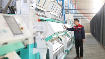 江西春耕新觀(guān)察之&ldquo;糧王&rdquo;升級：&ldquo;加工精&rdquo;&ldquo;品牌推&rdquo;&ldquo;平臺賣(mài)&rdquo;