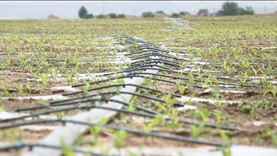 &ldquo;旱變水&rdquo;高標準梯田助力農田穩產(chǎn)
