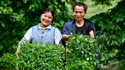 你是我的眼，我是你的手