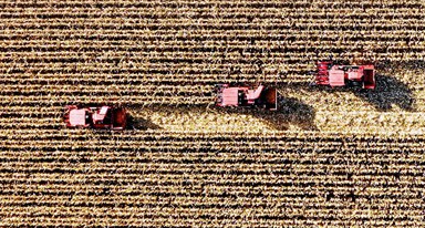 非凡十年｜吉林：加快推動(dòng)全面振興、全方位振興