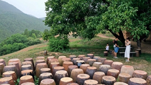 將藝術(shù)注入鄉野&mdash;&mdash;一位陶瓷藝術(shù)家的鄉村振興實(shí)踐