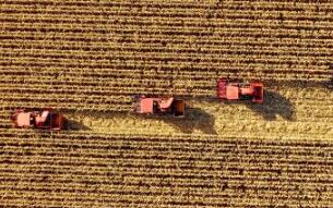 今秋，金秋！