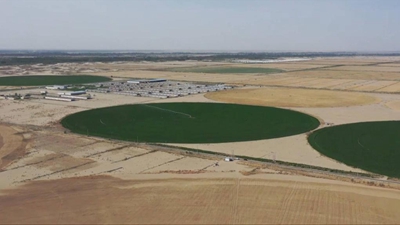 科技賦能 新疆沙漠邊的智慧農場(chǎng)變身&ldquo;飼草銀行&rdquo;