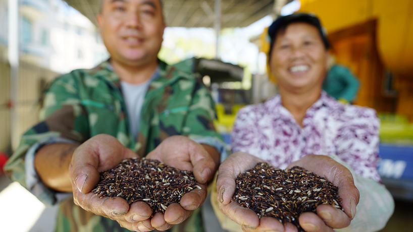 星火再燎原&mdash;&mdash;來(lái)自我國首個(gè)脫貧摘帽縣井岡山的回訪(fǎng)