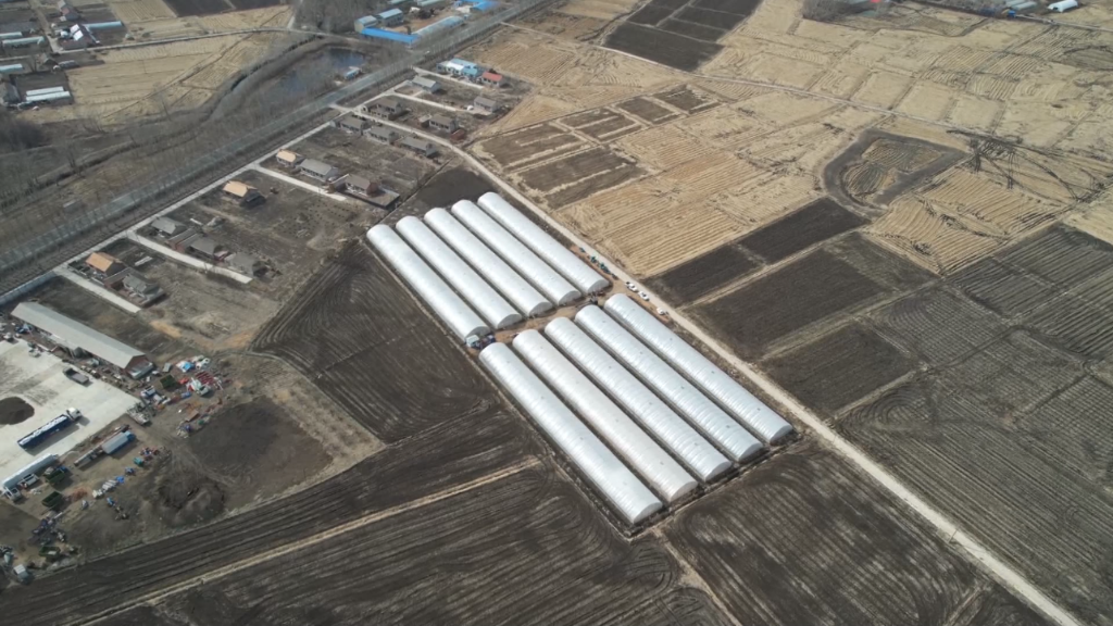 不讓疫情誤農情！農業(yè)大省吉林打通堵點(diǎn)&ldquo;硬核&rdquo;備春耕