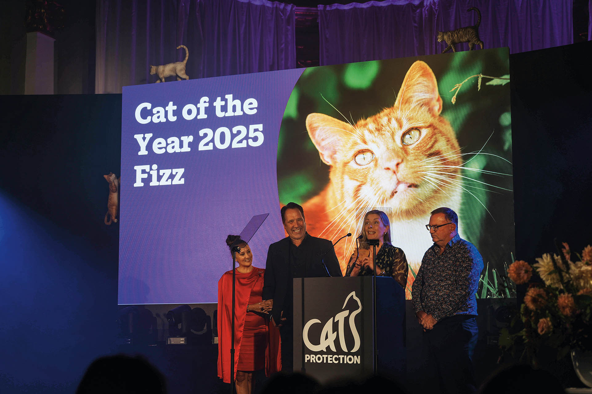 英國百年組織見(jiàn)證人與貓的故事