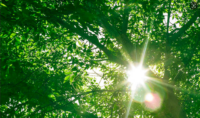 “守護心‘晴’全民心理健康服務(wù)行動(dòng)”走進(jìn)甘肅省天水市麥積區