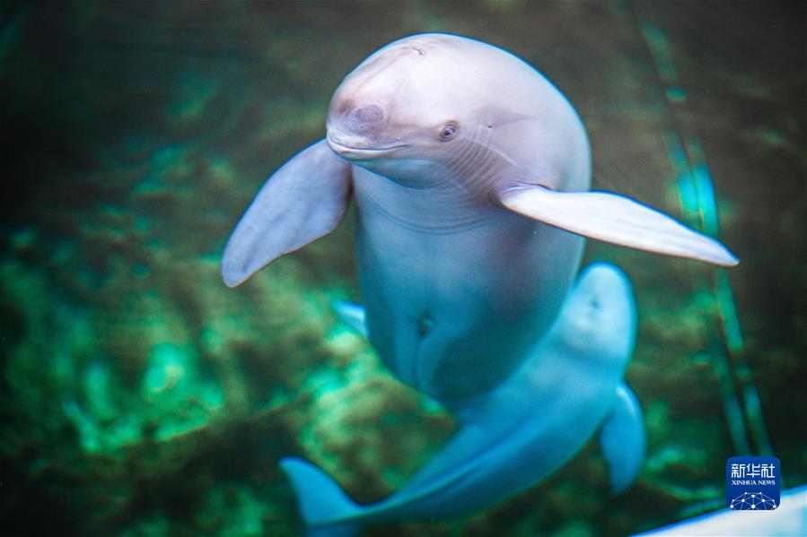 （新華全媒頭條&middot;奮進(jìn)新征程 建功新時(shí)代&middot;非凡十年&middot;圖文互動(dòng)）（6）湖北：奮力譜寫(xiě)高質(zhì)量發(fā)展新篇章 