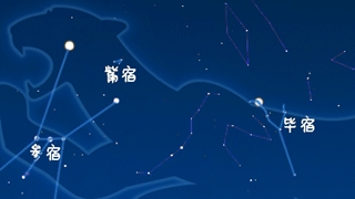 虎年來(lái)了，抬頭尋找天上的&ldquo;白虎&rdquo;