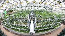 &ldquo;中國蔬菜之鄉&rdquo;律動(dòng)種業(yè)&ldquo;中國芯&rdquo;