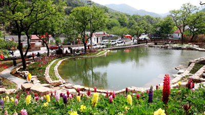 休閑、教育、養老&hellip;&hellip;&ldquo;三農&rdquo;變化之農業(yè)新功能