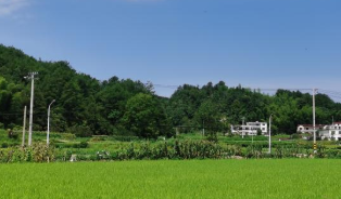 古坊鄉新事&mdash;&mdash;大別山革命老區鄉村振興一線(xiàn)見(jiàn)聞