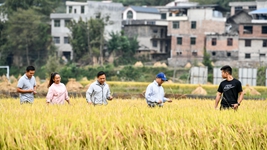 新農人給鄉村振興帶來(lái)哪些新面貌？