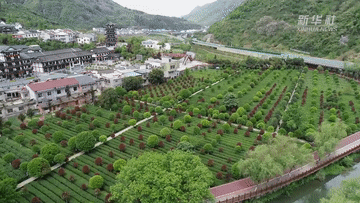 陜西平利：人居環(huán)境整治讓鄉村美麗更宜居