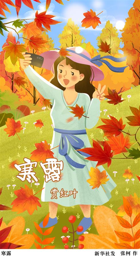 （圖表&middot;插畫(huà)）［二十四節氣&middot;寒露］寒露（三）