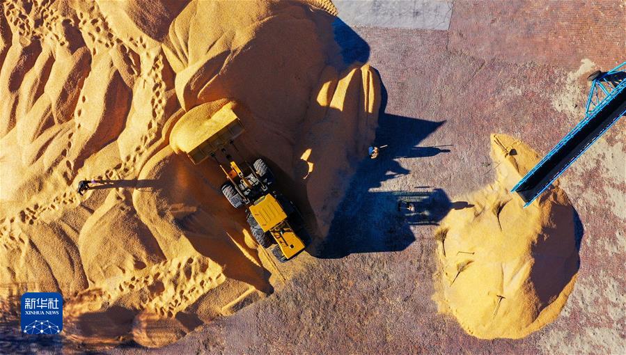 （鏡觀(guān)中國&middot;新華社國內新聞?wù)掌恢芫x）（8）內蒙古通遼玉米迎豐收