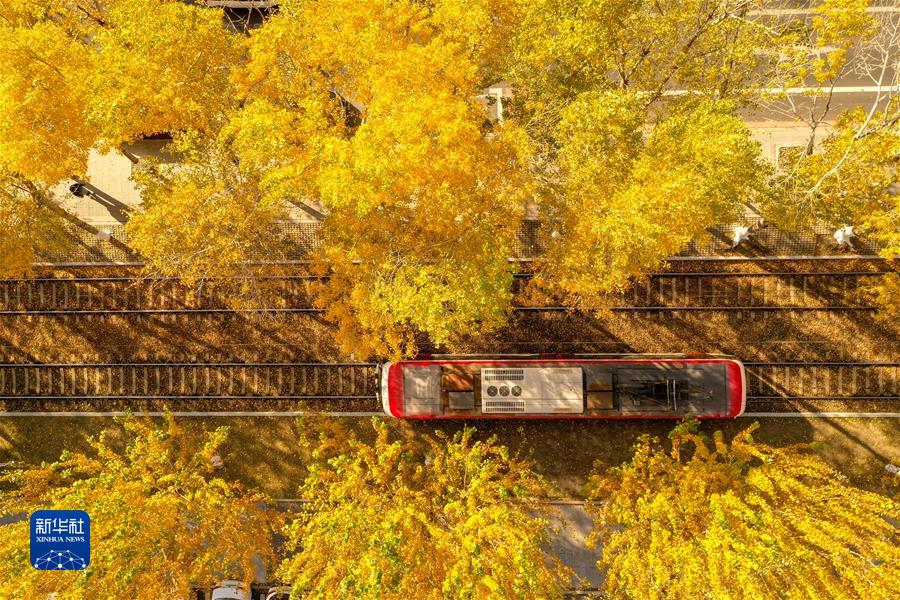 （鏡觀(guān)中國&middot;新華社國內新聞?wù)掌恢芫x）（10）長(cháng)春秋景