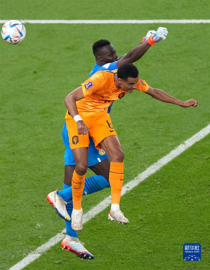 （卡塔爾世界杯）足球&mdash;&mdash;A組：荷蘭戰勝塞內加爾