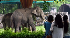 新德里動(dòng)物園重新對公眾開(kāi)放