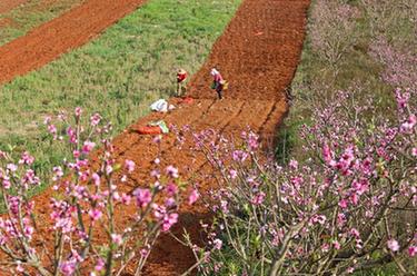 不負春光不誤農時(shí)