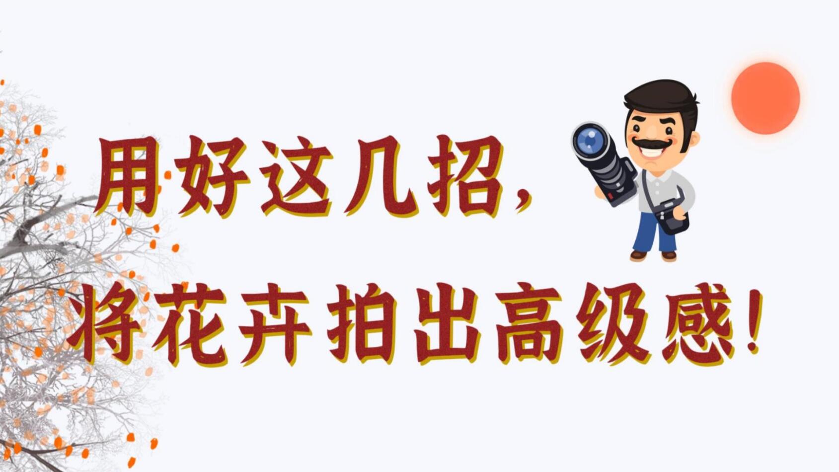 【光影輕課堂】用好這幾招，將花卉拍出高級感！