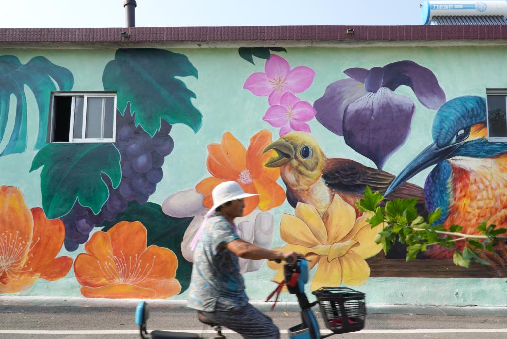 多彩墻繪藝術(shù)畫(huà)扮靚鄉村