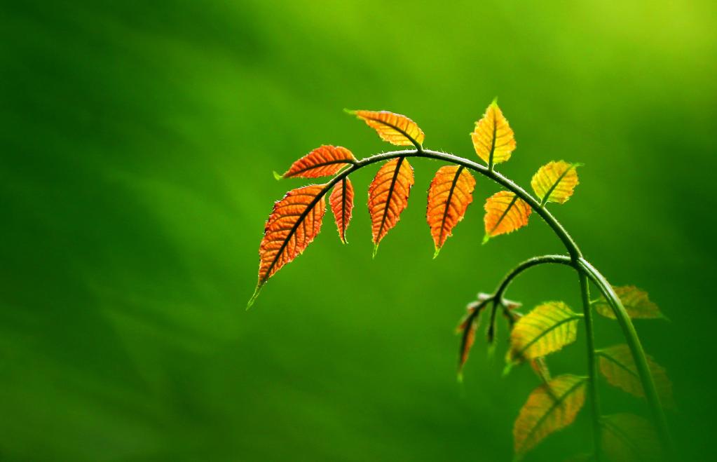 微視界&mdash;&mdash;處暑