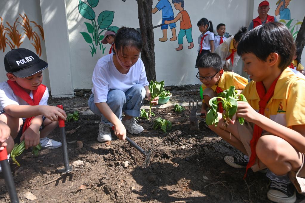浙江湖州：勞動(dòng)實(shí)踐教育開(kāi)啟&ldquo;開(kāi)學(xué)第一課&rdquo;