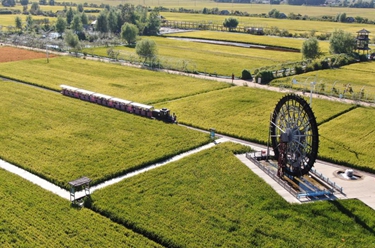 新華全媒+丨稻田畫(huà)繪就鄉村振興新畫(huà)卷