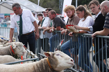 2022法國雷恩畜牧業(yè)展覽會(huì )開(kāi)幕