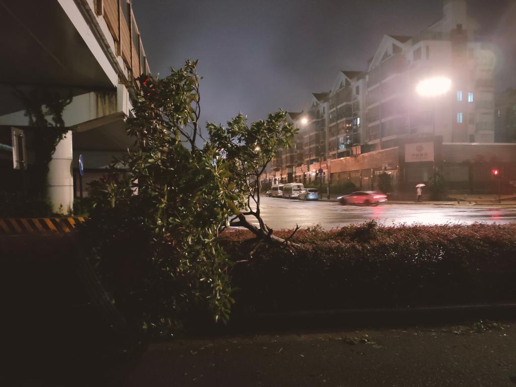 新華全媒+丨臺風(fēng)&ldquo;梅花&rdquo;登陸浙江舟山普陀