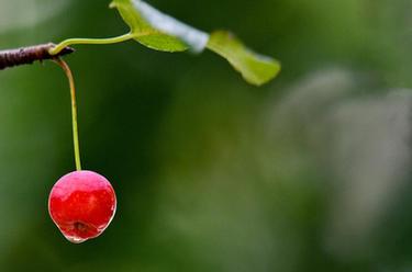 微視界&mdash;&mdash;寒露