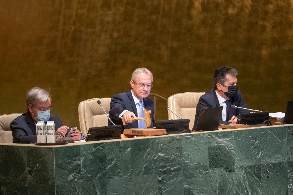 聯(lián)大通過(guò)決議聲援遭受洪災的巴基斯坦人民