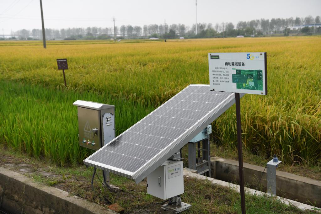 新華全媒+丨田間地頭的&ldquo;科技范兒&rdquo;