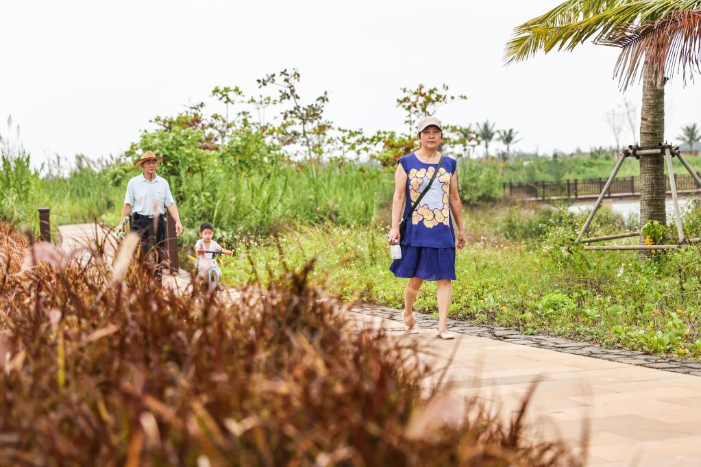 ?？冢汉忧灏毒G的邁雅河濕地公園