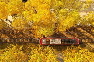 長(cháng)春秋景如畫(huà)