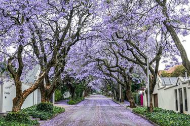 國際&middot;一周看天下
