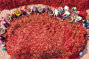 鏡觀(guān)中國&middot;新華社國內新聞?wù)掌恢芫x