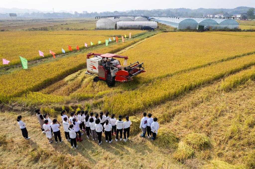 新華全媒＋丨&ldquo;田間課堂&rdquo;學(xué)農事