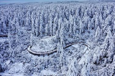 銀裝素裹瓦屋山