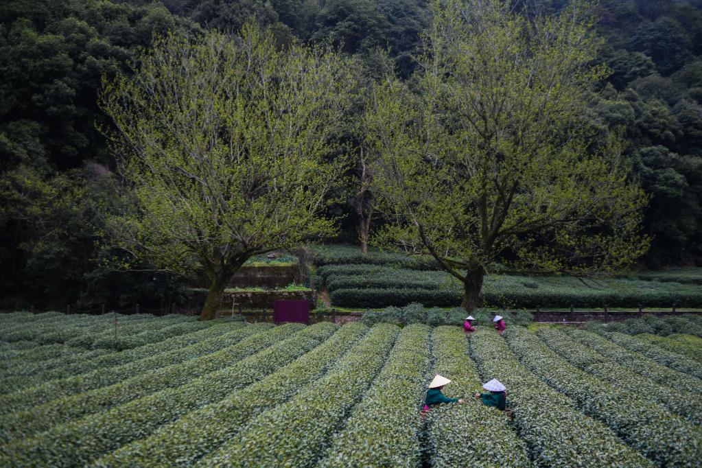 年終報道&middot;2022奔向美好｜經(jīng)濟發(fā)展破浪向前