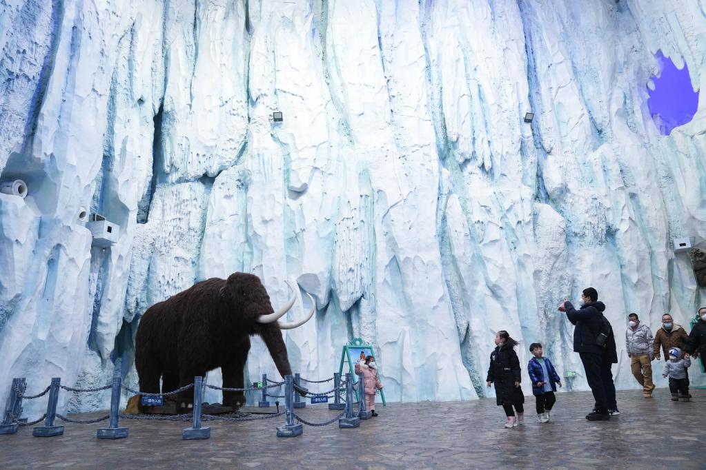 哈爾濱極地公園&ldquo;重啟&rdquo;迎客