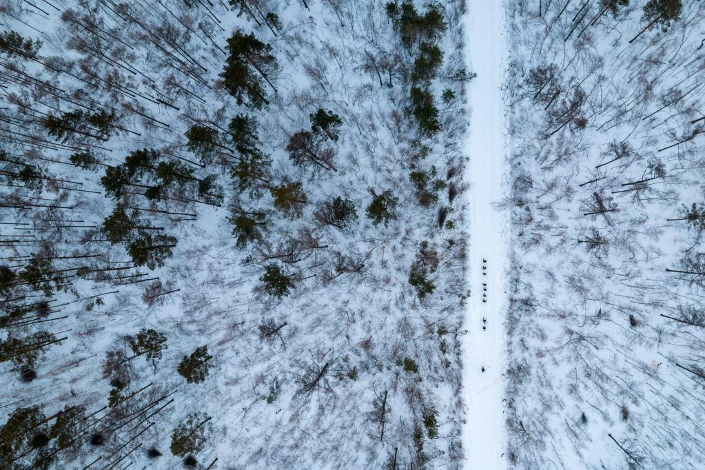 新華全媒+丨&ldquo;失聯(lián)&rdquo;一個(gè)多月，他們在林海守護生態(tài)屏障