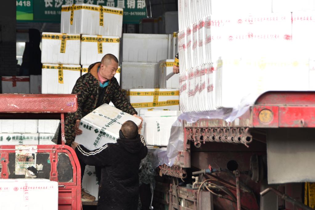 千里調蔬菜 全力保供應&mdash;&mdash;湖南最大&ldquo;菜籃子&rdquo;一線(xiàn)見(jiàn)聞