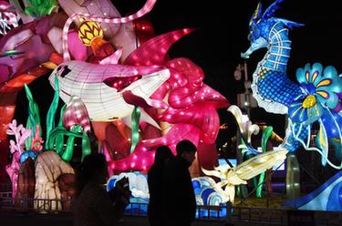 青島：賞新春燈會(huì ) 游奇幻&ldquo;海洋&rdquo;