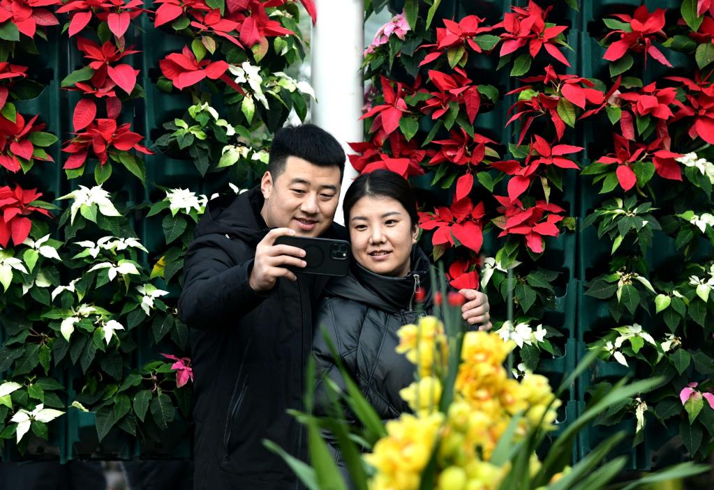 &ldquo;花&rdquo;式春節年味濃