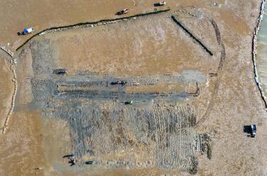 福州瑯岐島:海灘種蟶忙