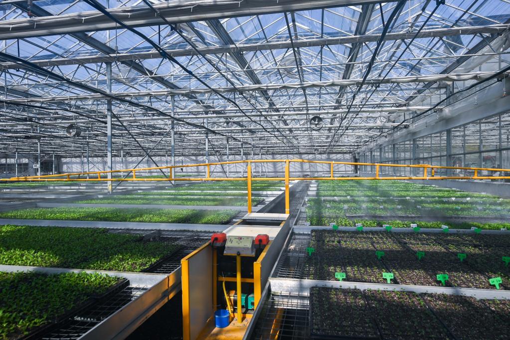 浙江嘉興：數字化新農具耕出&ldquo;智慧田&rdquo;