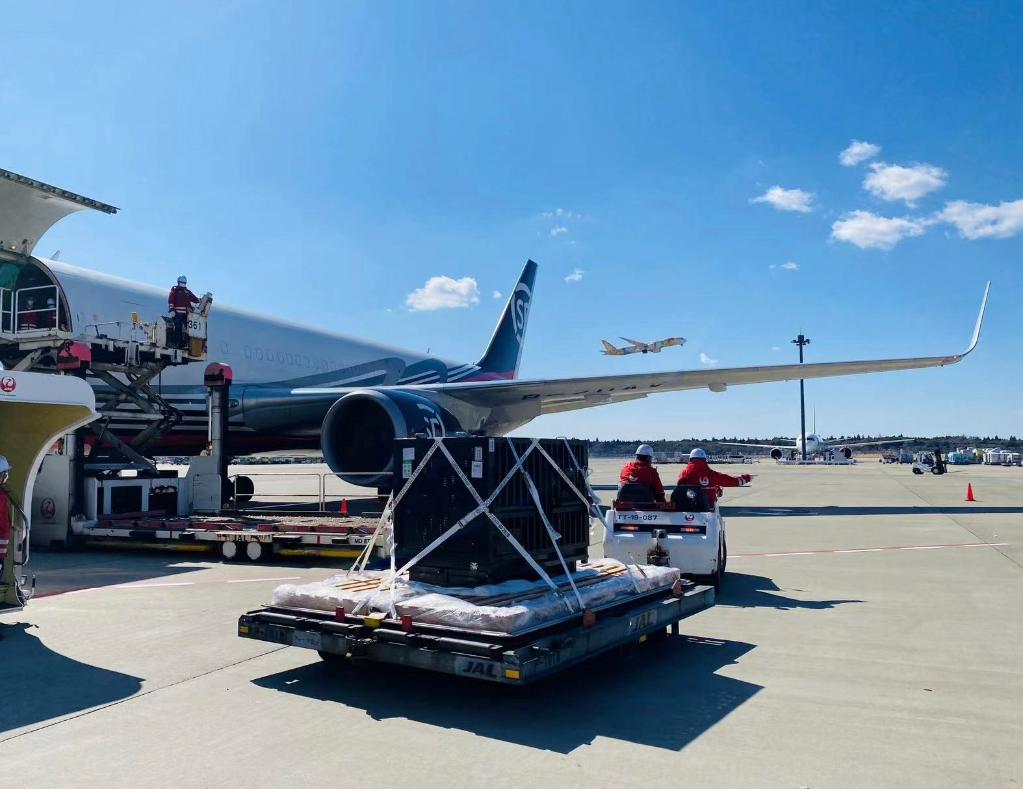 大熊貓&ldquo;香香&rdquo;從日本乘包機回國